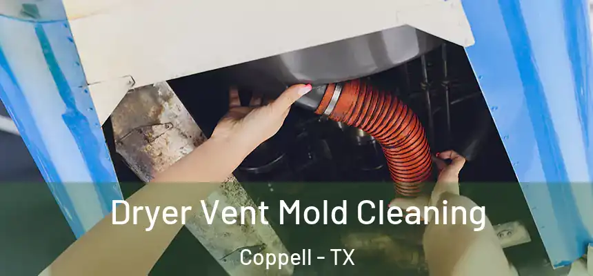 Dryer Vent Mold Cleaning Coppell - TX