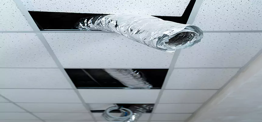 Our Air Duct Pet Hair Removal Services in Coppell, TX