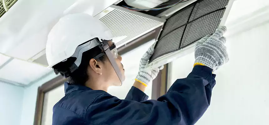 Our Mold & Mildew Removal from Air Ducts Services in Coppell, TX