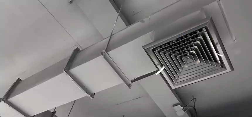 Our Rodent Droppings In Vents Services in Coppell, TX