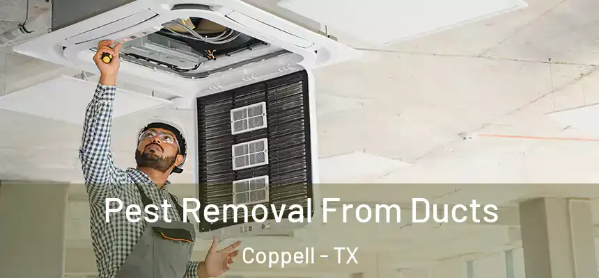 Pest Removal From Ducts Coppell - TX