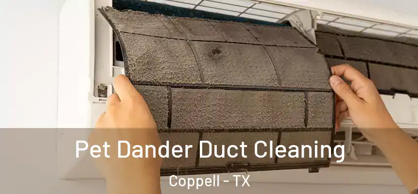Pet Dander Duct Cleaning Coppell - TX