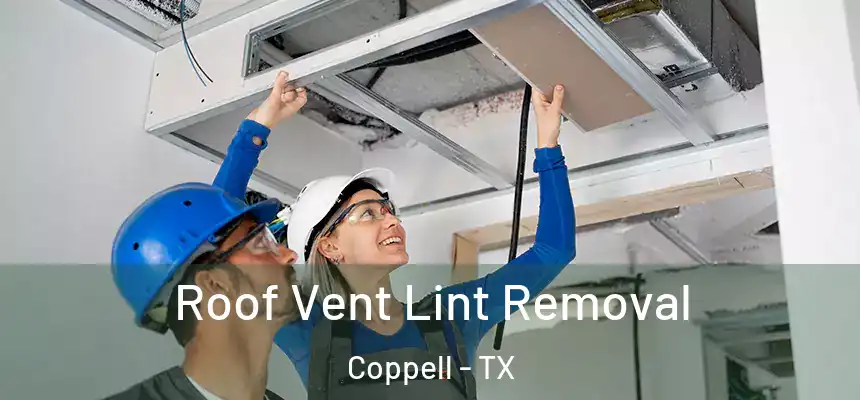 Roof Vent Lint Removal Coppell - TX