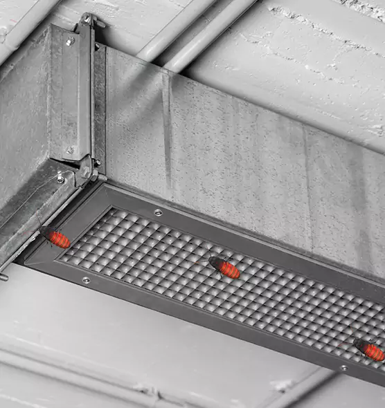 Affordable Insect Removal from Air Ducts in Coppell, TX