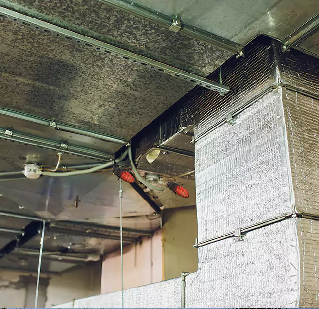 Why Homeowners & Businesses Trust Us in Coppell, TX?